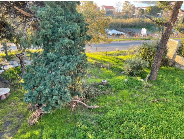 Anteprima foto 4 - Appartamento in Vendita a Diamante (Cosenza)