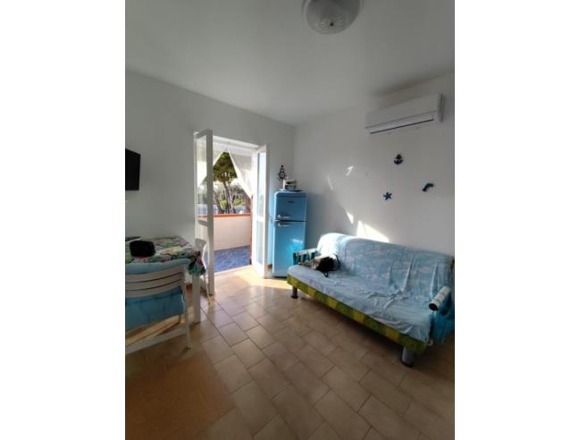 Anteprima foto 5 - Appartamento in Vendita a Diamante (Cosenza)