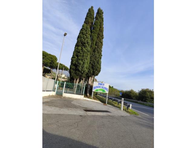 Anteprima foto 8 - Appartamento in Vendita a Diamante (Cosenza)