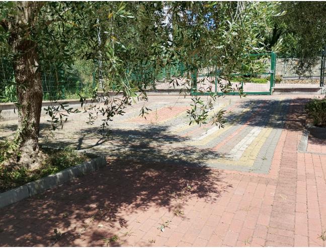 Anteprima foto 5 - Appartamento in Vendita a Diano Marina (Imperia)