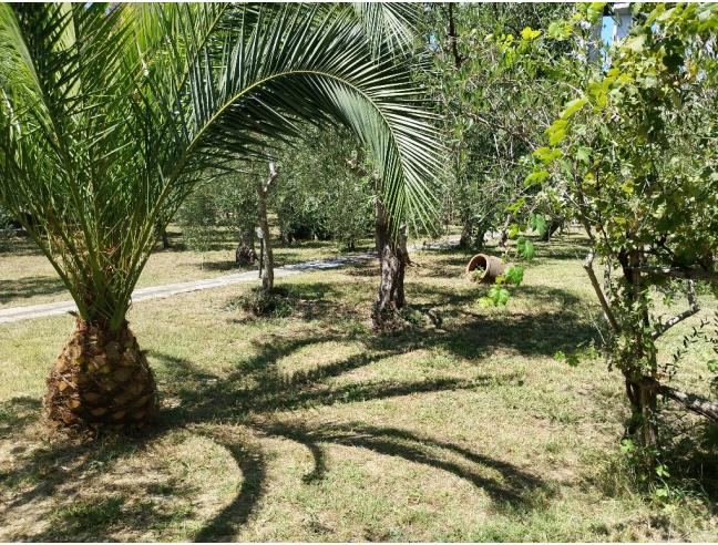 Anteprima foto 7 - Appartamento in Vendita a Diano Marina (Imperia)