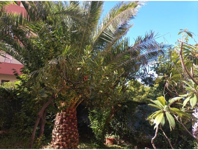 Anteprima foto 6 - Appartamento in Vendita a Falconara Marittima (Ancona)