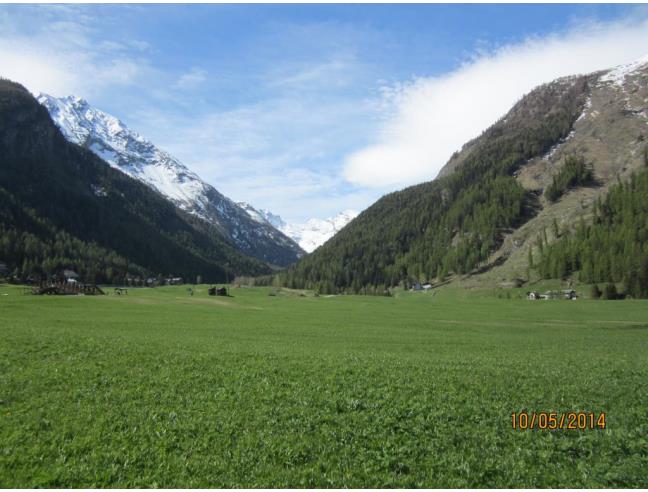 Anteprima foto 6 - Appartamento in Vendita a Fénis (Aosta)