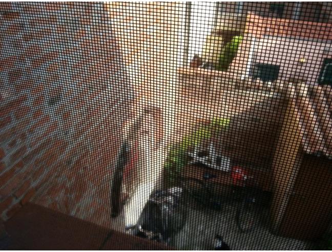 Anteprima foto 2 - Appartamento in Vendita a Ferrara - Entro Mura