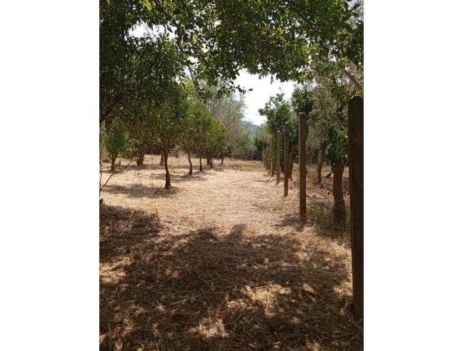 Anteprima foto 2 - Appartamento in Vendita a Filadelfia - Montesoro