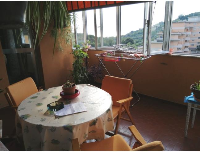 Anteprima foto 3 - Appartamento in Vendita a Genova - Granarolo