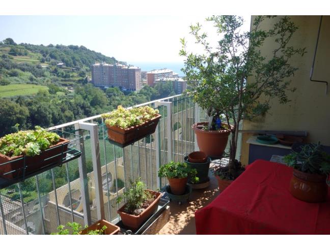 Anteprima foto 5 - Appartamento in Vendita a Genova - Pra