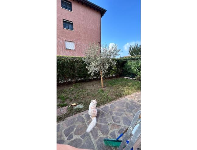 Anteprima foto 7 - Appartamento in Vendita a Granarolo dell'Emilia - Quarto Inferiore