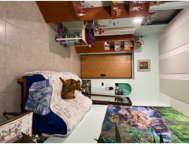 Anteprima foto 6 - Appartamento in Vendita a Gravina in Puglia (Bari)