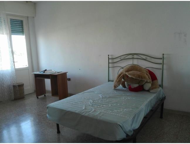 Anteprima foto 5 - Appartamento in Vendita a Grosseto - Centro città