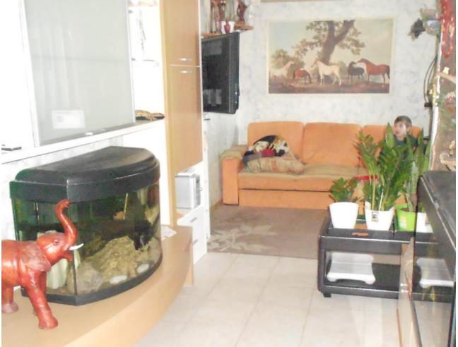 Anteprima foto 3 - Appartamento in Vendita a Grosseto (Grosseto)