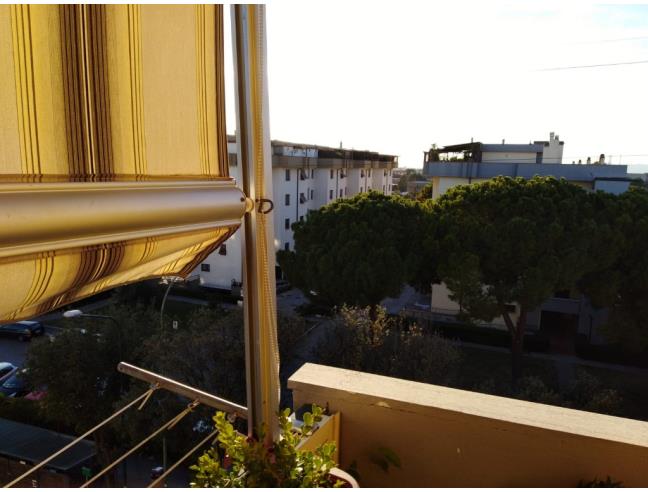 Anteprima foto 3 - Appartamento in Vendita a Grosseto - Marina Di Grosseto