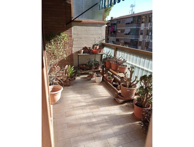 Anteprima foto 8 - Appartamento in Vendita a Grosseto - Marina Di Grosseto