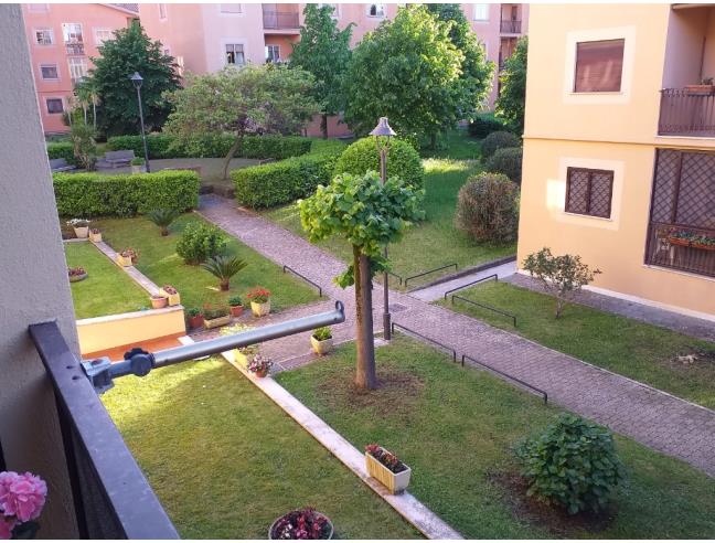 Anteprima foto 3 - Appartamento in Vendita a Grottaferrata (Roma)