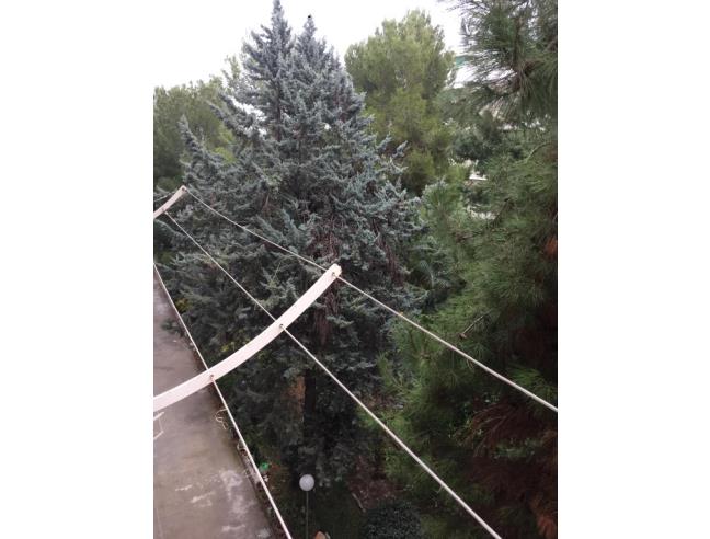 Anteprima foto 6 - Appartamento in Vendita a Grumo Appula (Bari)