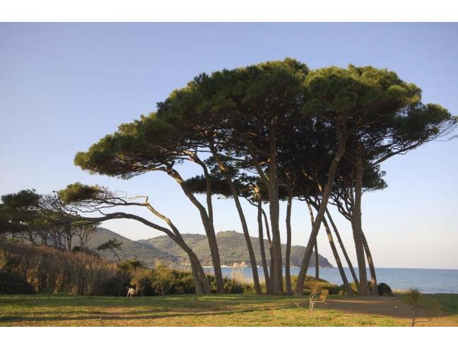 Anteprima foto 7 - Appartamento in Vendita a Guardistallo (Pisa)