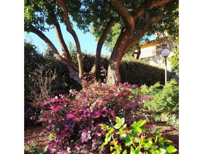 Anteprima foto 2 - Appartamento in Vendita a Ischia di Castro (Viterbo)