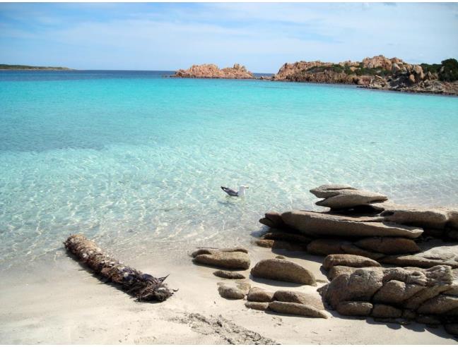 Anteprima foto 1 - Appartamento in Vendita a La Maddalena (Sassari)