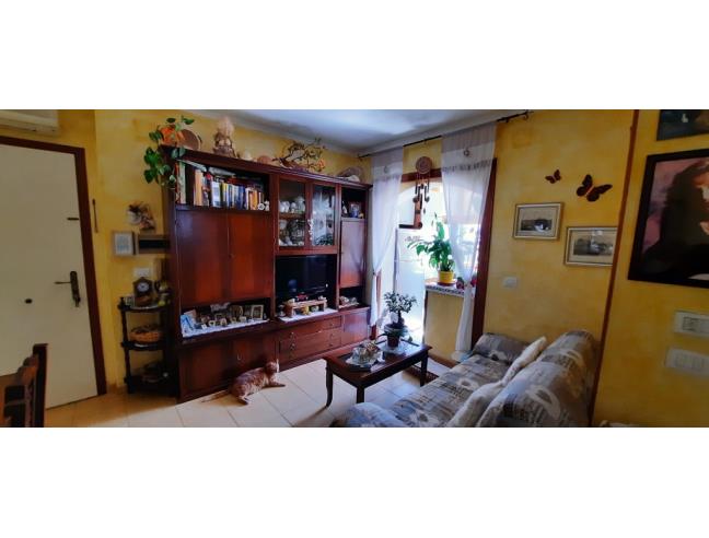 Anteprima foto 4 - Appartamento in Vendita a La Maddalena (Sassari)