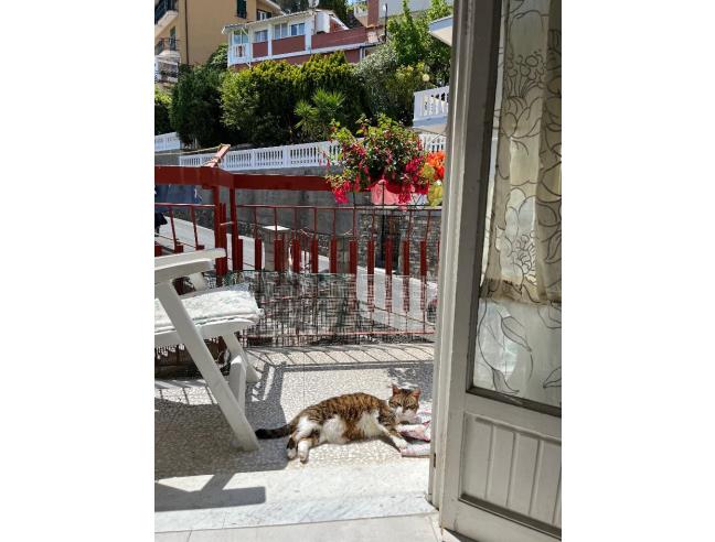 Anteprima foto 3 - Appartamento in Vendita a Laigueglia (Savona)