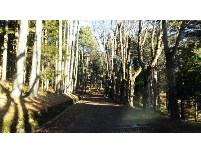 Anteprima foto 7 - Appartamento in Vendita a Lama Mocogno - La Santona