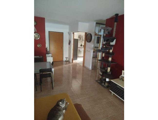 Anteprima foto 6 - Appartamento in Vendita a Latina - Latina Scalo