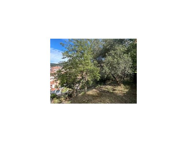 Anteprima foto 1 - Appartamento in Vendita a Lauria - Lauria Inferiore