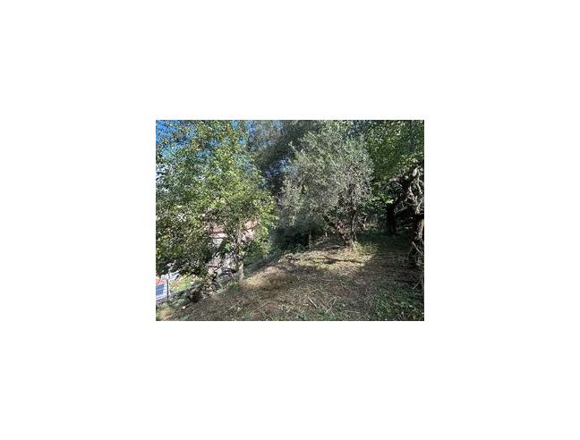 Anteprima foto 4 - Appartamento in Vendita a Lauria - Lauria Inferiore