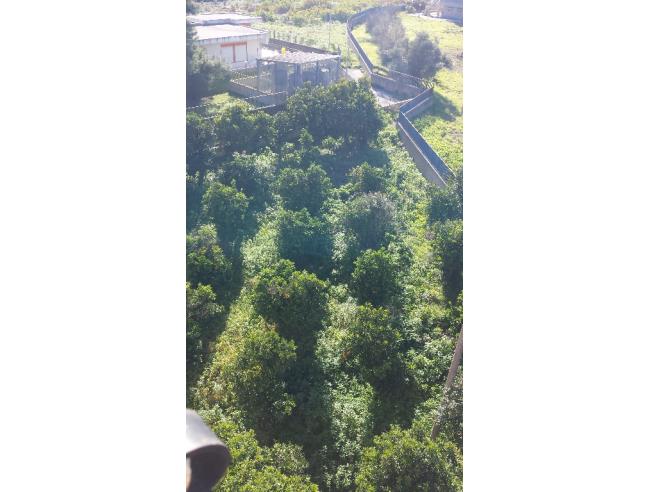 Anteprima foto 7 - Appartamento in Vendita a Lentini (Siracusa)