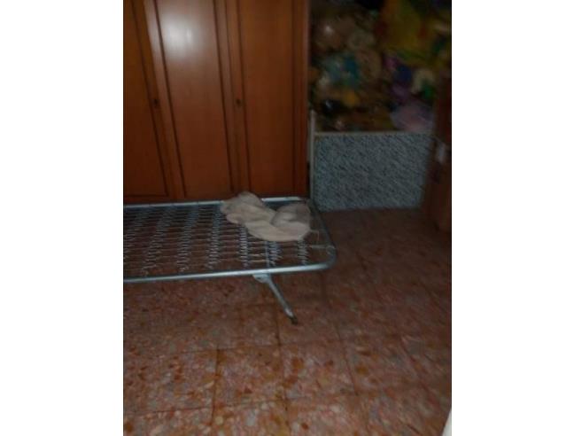 Anteprima foto 7 - Appartamento in Vendita a Lesina - Marina Di Lesina