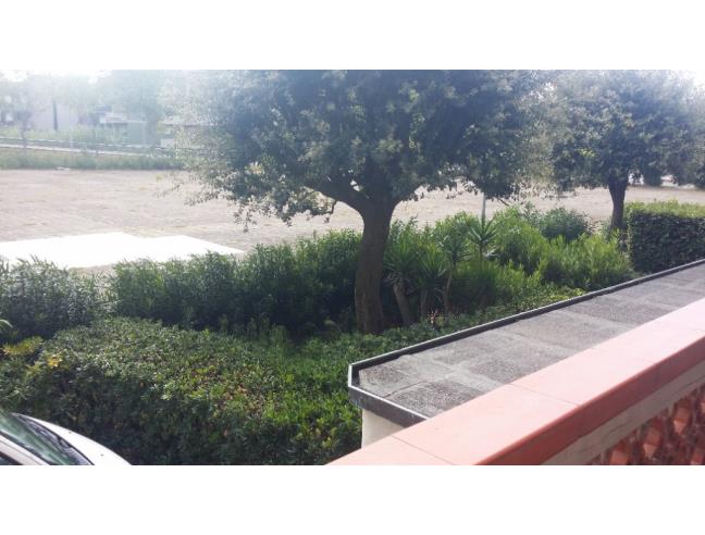 Anteprima foto 5 - Appartamento in Vendita a Luni (La Spezia)