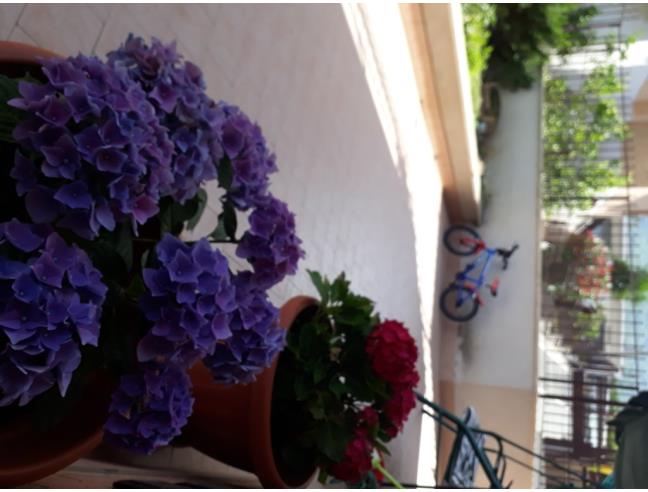 Anteprima foto 2 - Appartamento in Vendita a Marcellina - Stazione Di Palombara-Marcellina