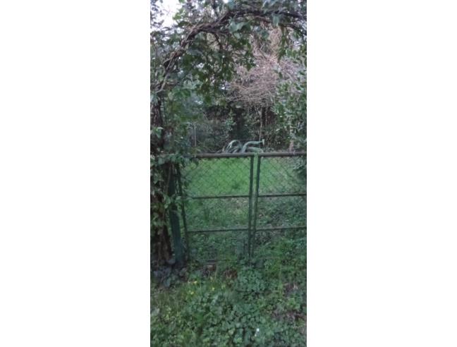 Anteprima foto 3 - Appartamento in Vendita a Massa Marittima - Niccioleta