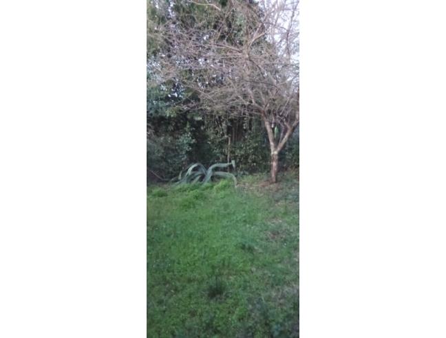 Anteprima foto 7 - Appartamento in Vendita a Massa Marittima - Niccioleta