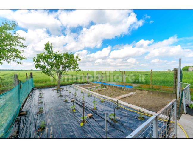 Anteprima foto 6 - Appartamento in Vendita a Medicina - Sant'Antonio