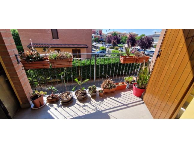 Anteprima foto 6 - Appartamento in Vendita a Medolla (Modena)