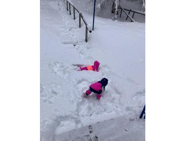 Anteprima foto 2 - Appartamento in Vendita a Mezzana - Marilleva 1400