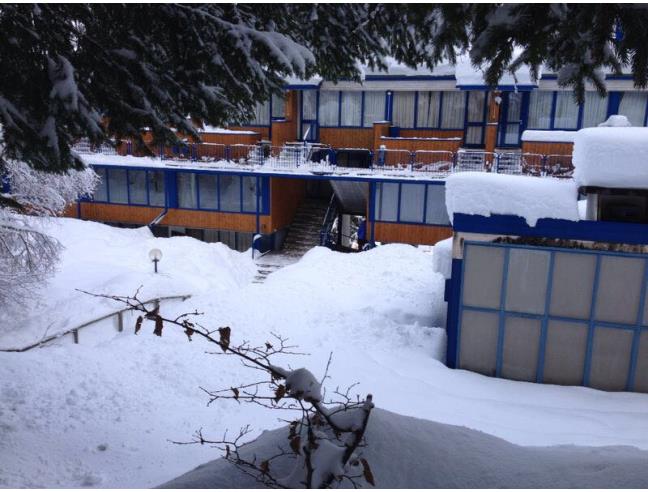 Anteprima foto 8 - Appartamento in Vendita a Mezzana - Marilleva 1400