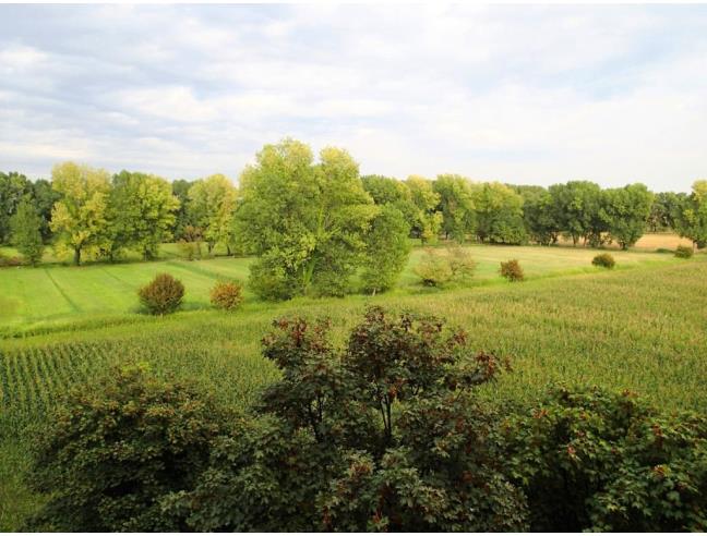 Anteprima foto 8 - Appartamento in Vendita a Milano - Chiesa Rossa