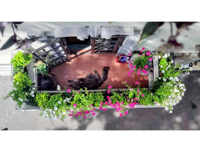 Anteprima foto 7 - Appartamento in Vendita a Milano - Città Studi