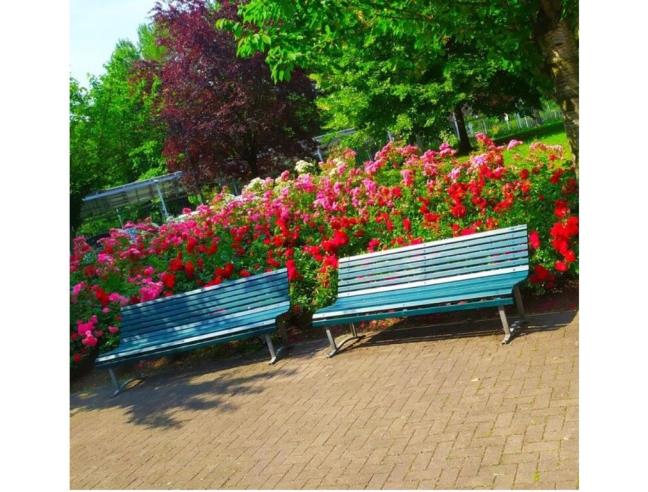 Anteprima foto 2 - Appartamento in Vendita a Milano - Palmanova