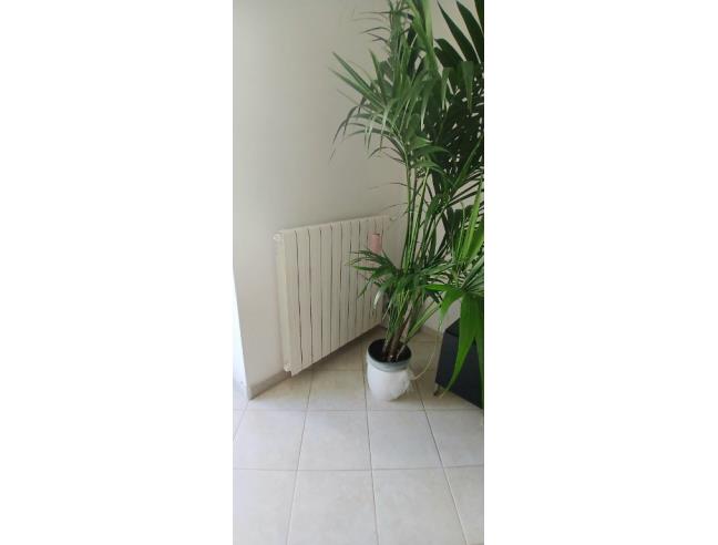 Anteprima foto 7 - Appartamento in Vendita a Molfetta (Bari)