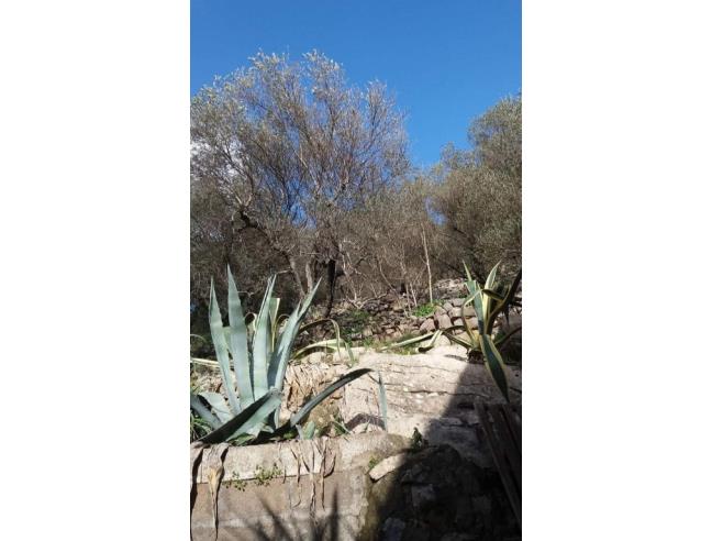 Anteprima foto 7 - Appartamento in Vendita a Monte San Biagio (Latina)