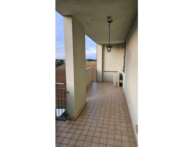 Anteprima foto 5 - Appartamento in Vendita a Montechiarugolo - Basilicagoiano