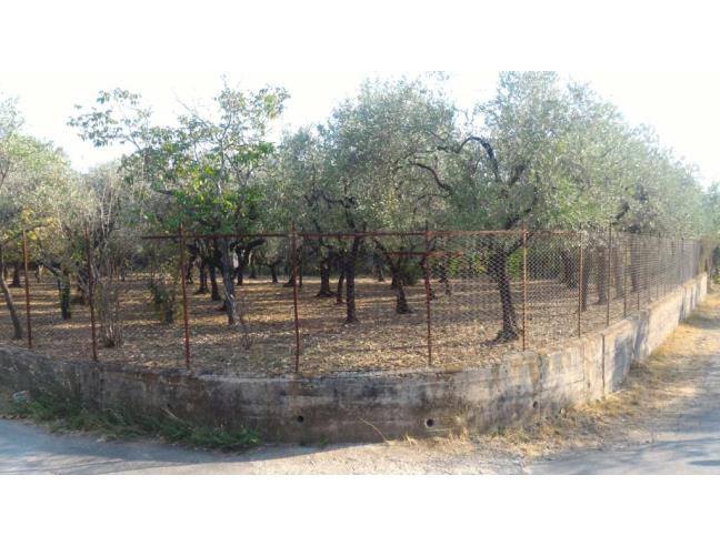 Anteprima foto 3 - Appartamento in Vendita a Montecorvino Rovella (Salerno)