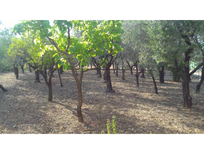 Anteprima foto 7 - Appartamento in Vendita a Montecorvino Rovella (Salerno)