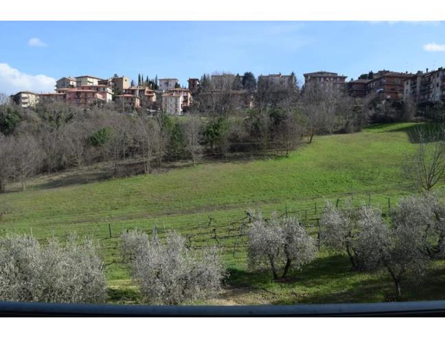 Anteprima foto 8 - Appartamento in Vendita a Montepulciano (Siena)