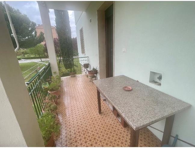 Anteprima foto 4 - Appartamento in Vendita a Monteroni d'Arbia (Siena)