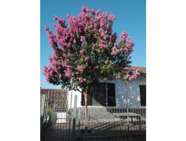 Anteprima foto 7 - Appartamento in Vendita a Montiglio Monferrato (Asti)