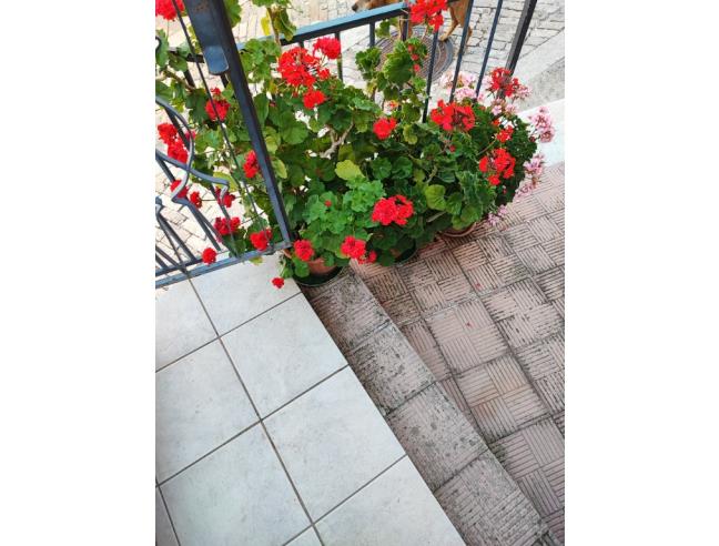 Anteprima foto 4 - Appartamento in Vendita a Morra De Sanctis (Avellino)